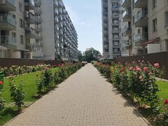 Obor Colentina in complexul Rosegarden